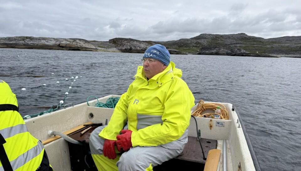 Erling Haugan og andre fiskere i Bugøynes har sammen med forskere fra Nofima og Havforskningsinstitutet gjennomført kilenotfiske.