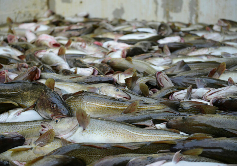 Flere ferskleveranser