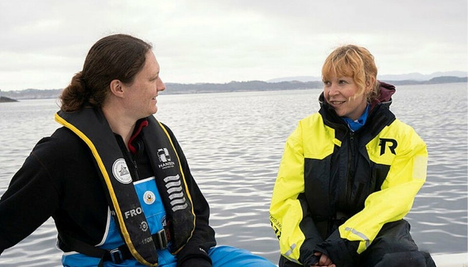 Havforskerne Kate McQueen og Lise Doksæter Sivle på feltarbeid i Bakkasund.
