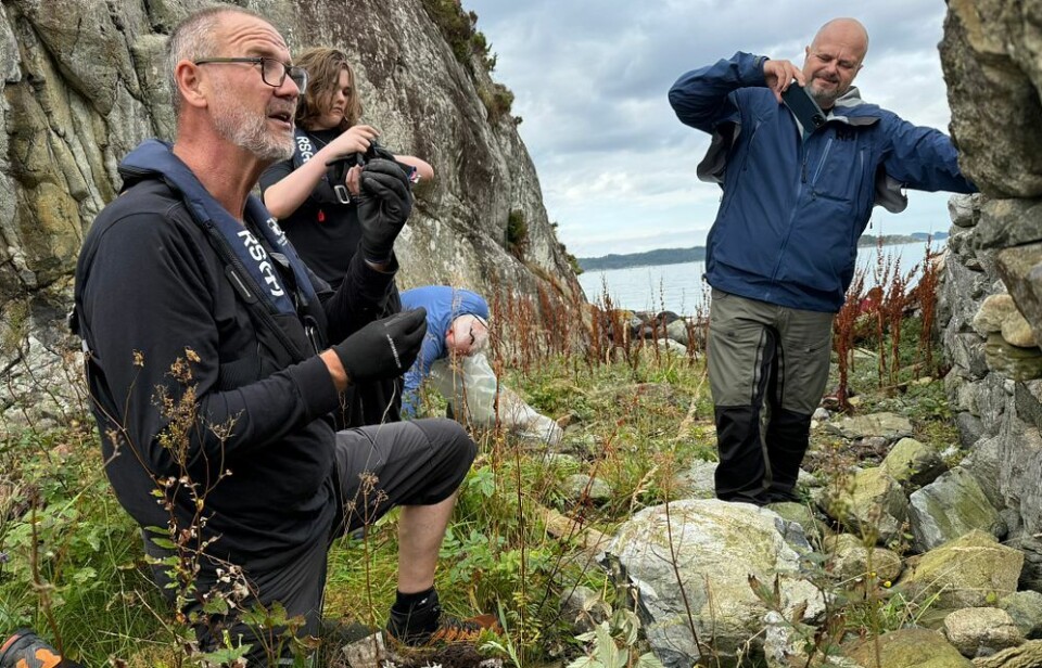 Kenneth Bruvik er grunnlegger, styremedlem og prosjektkoordinator i Framtidshavet.