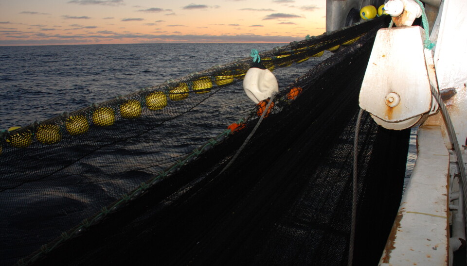 Fiskebåt mener det er meget kritikkverdig at det utføres skyteøvelser midt i fiskefelt.