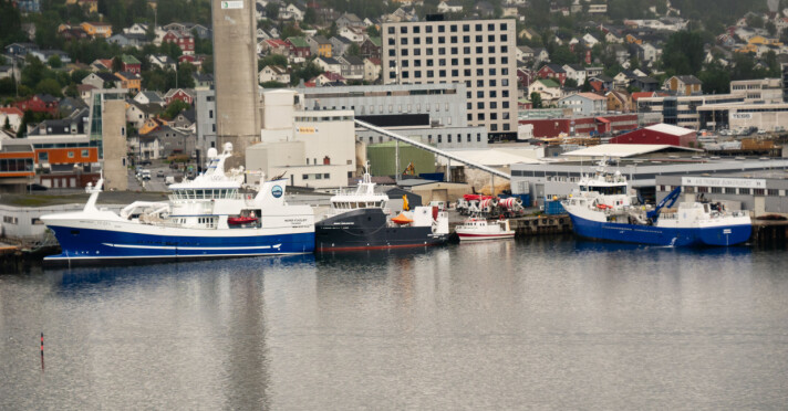 Både store og små fiskebåter skaper data ved via egne ekkolodd, kartplottere og fangstdata. I fremtiden vil forskere kunne bruke slik data til bedre å forstå endringene i fiskebestandene langs kysten.