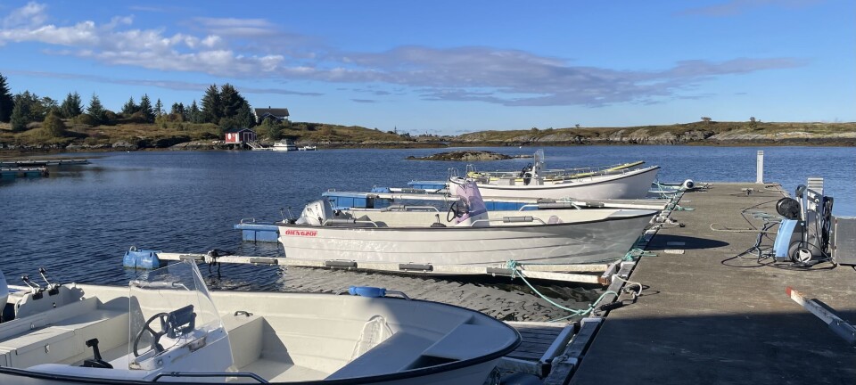 Tilsynskampanje hos fisketuristbedrifter