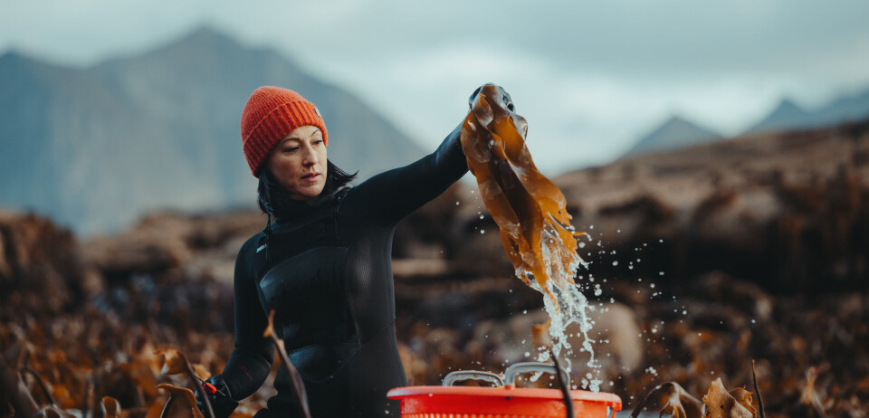 Får millionstøtte til maritime prosjekt