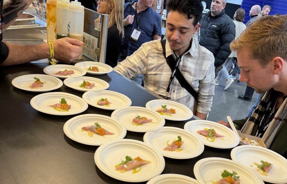 Sild i fokus i Tyskland