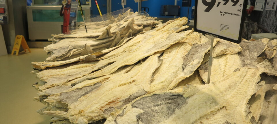 Gjenbruk av salt forringer ikke klippfisken