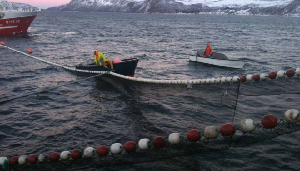 Fiskebåt ønsker at større fartøy får fiske innenfor fjordlinjene.
