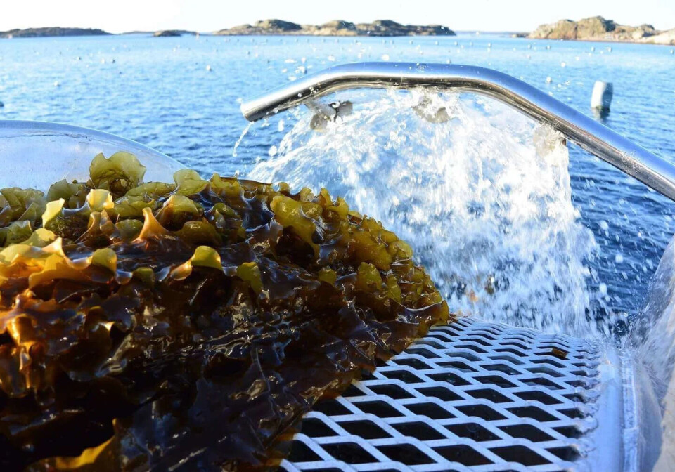 Samlet Skandinavia for å diskutere hav, miljø og fiskeri