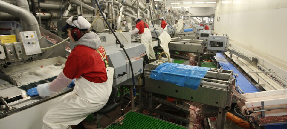 Revolusjonerer isproduksjonen i fiskeindustrien