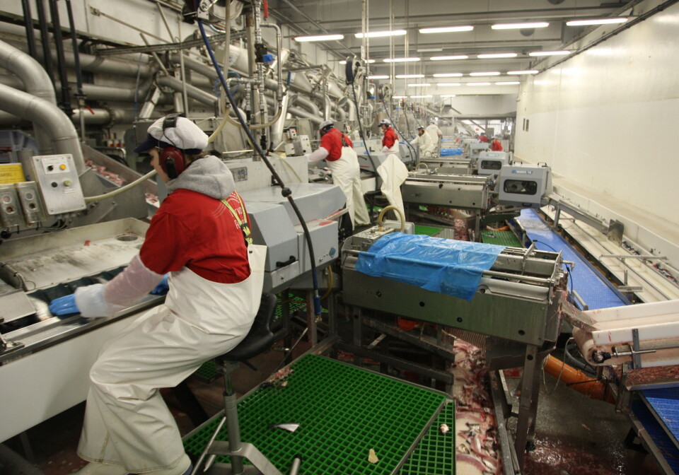 Revolusjonerer isproduksjonen i fiskeindustrien