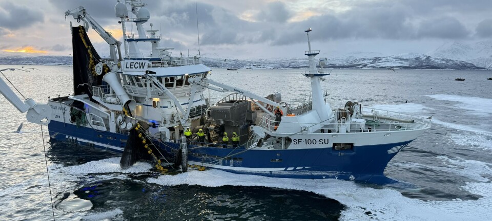 Hummerfiske Rogn Alt du trenger å vite om hummerfiske i Norge: Regler og ...