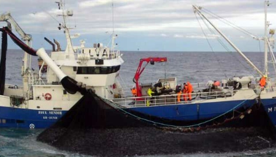 FISKETS GANG: «Paul Senior» på fiskefeltet. Bilde for illustrasjon.