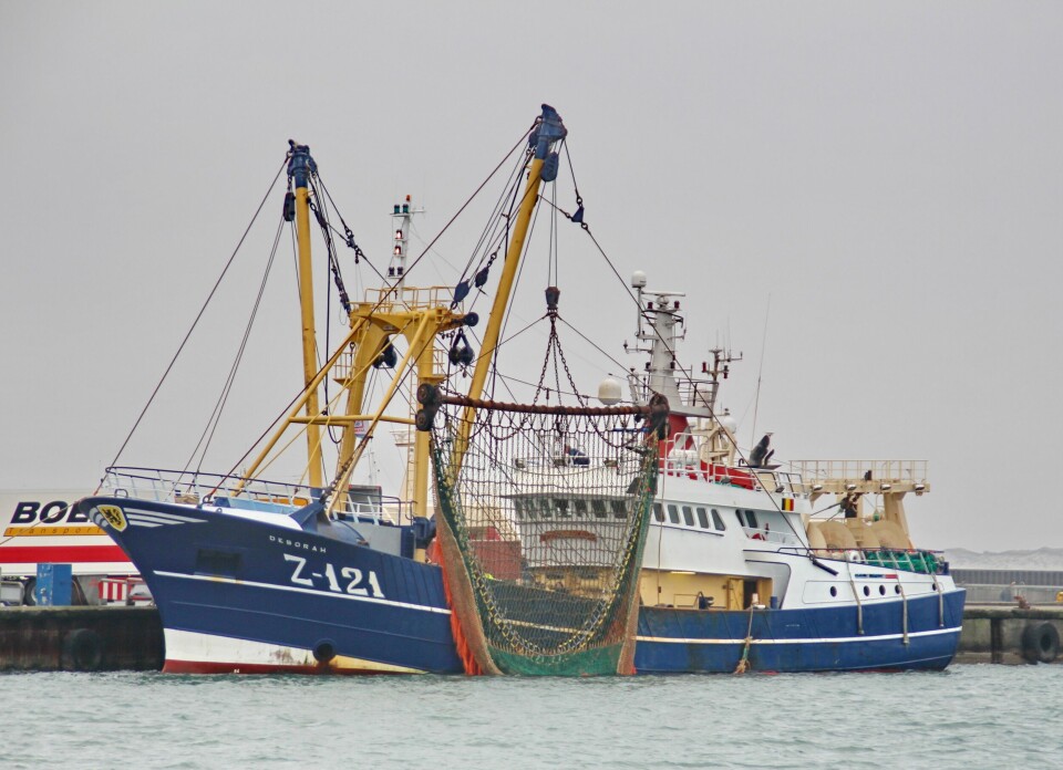 Det er det voldsomme bunngiret som gjør bomtråling omstridt, - og forbudt i norske farvann.