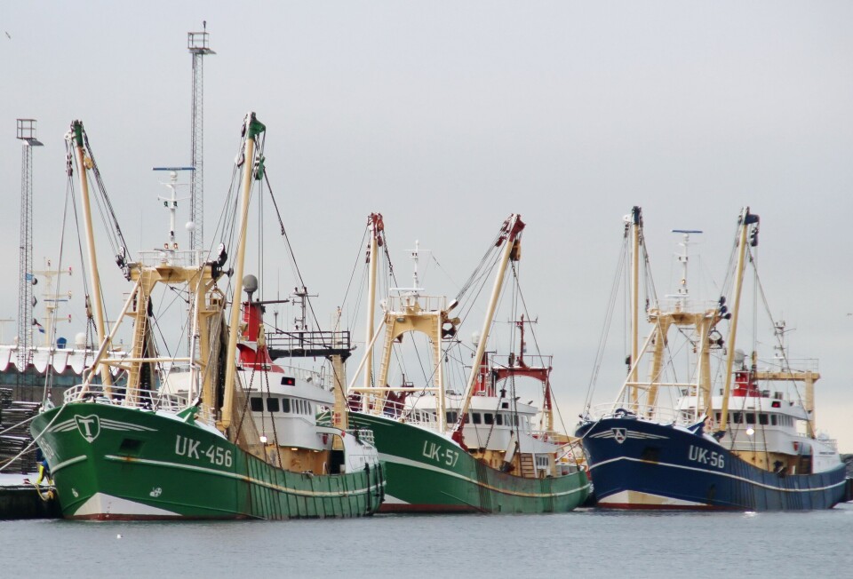 Nederlandske bomtrålere i Hirtshals. Disse har til nå kunnet fiske i norsk sone. Men fra 1. mars er bomtrål forbudt i norske farvann. Foto Terje Engø