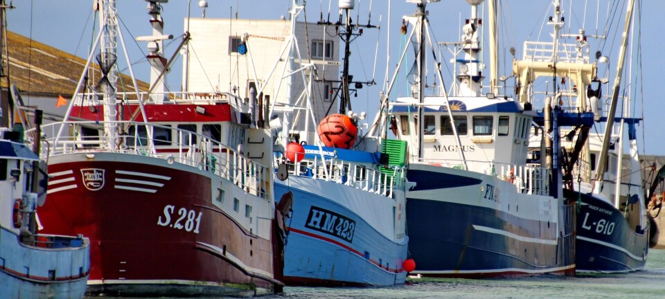 – Hvorfor tillater vi i det hele tatt fiske med trål i Norge?