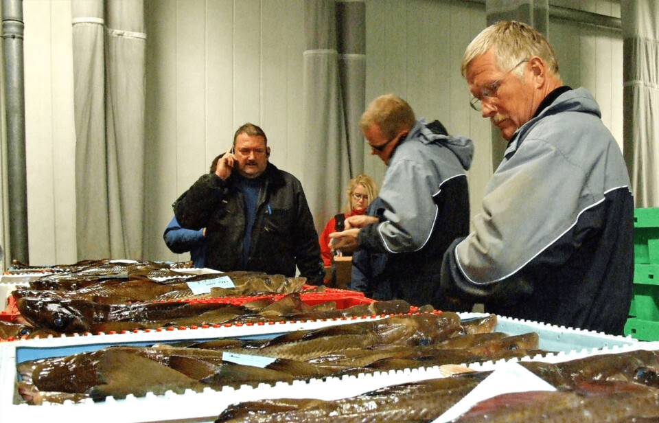 Sjømatbedriftene har sendt et brev til Fiskeriministeren. Der tilkjennegir de en sterk mistanke om juks når fersk norsk fisk sendes til dansk auksjon. Illustrasjonsfoto Terje Engø