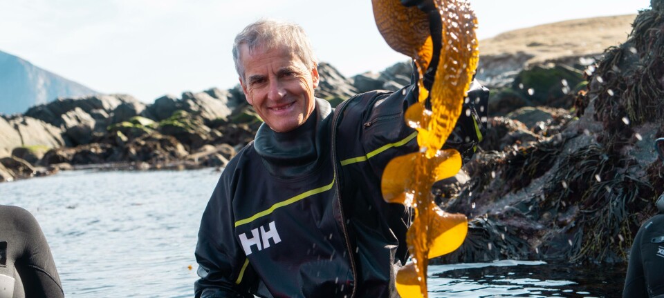 30 organisasjoner demonstrerer i 19 land i dag - vil tuppe Jonas ut av Havpanelet