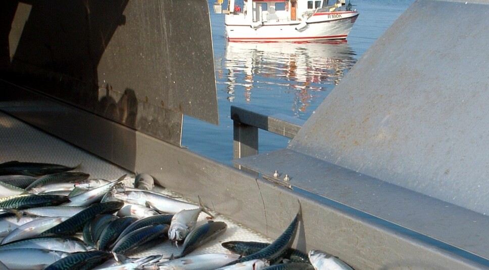 FORHANDLINGER: Etter mye styr er endelig årets makrellkvoter klare.