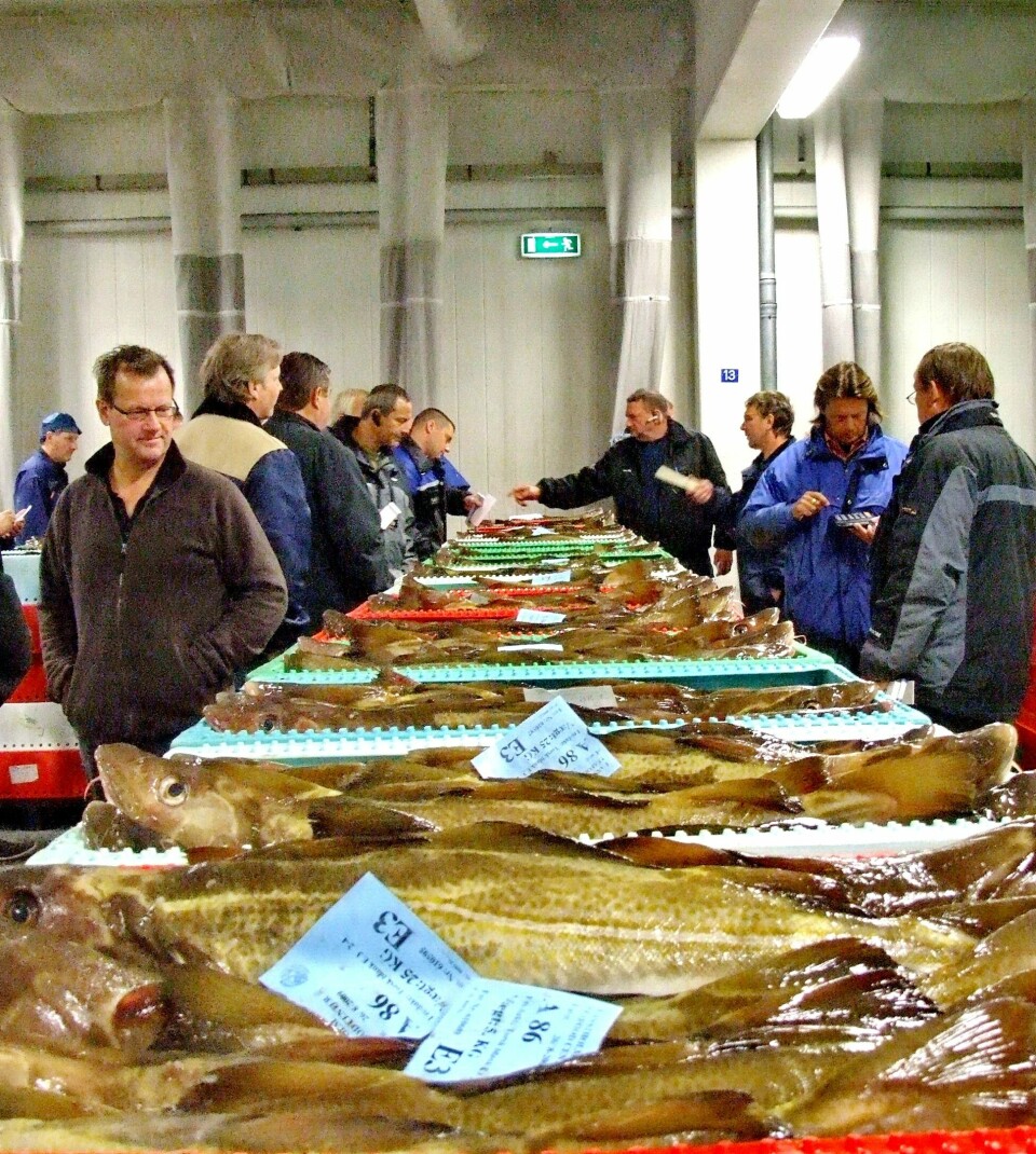 Dansk fiskeriindustri er totalt avhengig av norsk fisk. Derfor betales fersk fisk med god kvalitet veldig godt, som her på auksjonen i Hirtshals. Foto Terje Engø
