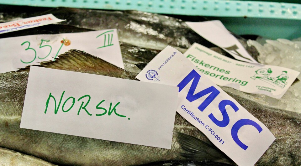 Norsk fisk på dansk fiskeauksjon. Foto Terje Engø Norsk fisk på dansk fiskeauksjon. Foto Terje Engø