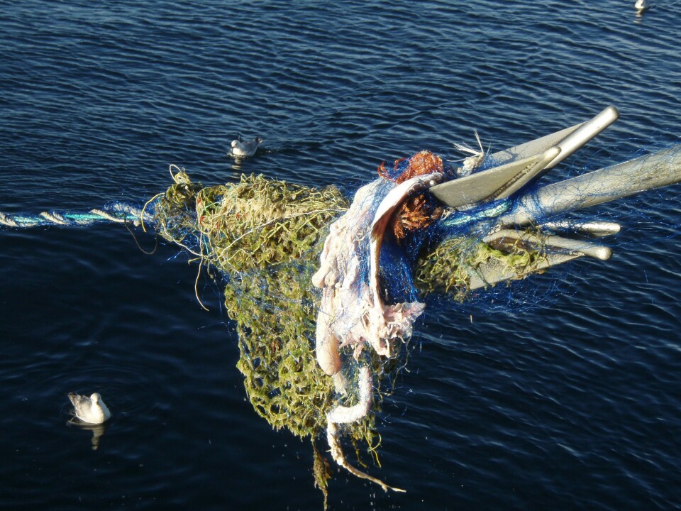 Årets tokt for opprenskning av tapte fiskeredskaper ga rekordresultat. Foto: Gjermund Langedal, Fiskeridirektoratet
