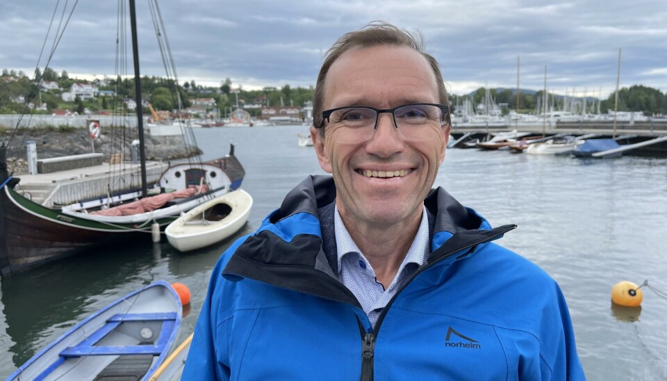 Utenriksminister Espen Barth Eide (AP)