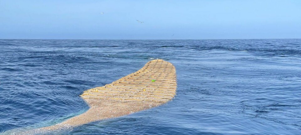 – Mer mat fra havet er viktig for beredskapen