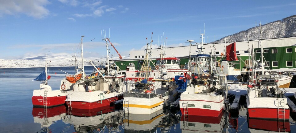 Labert fiske i nord, men opp for hyse