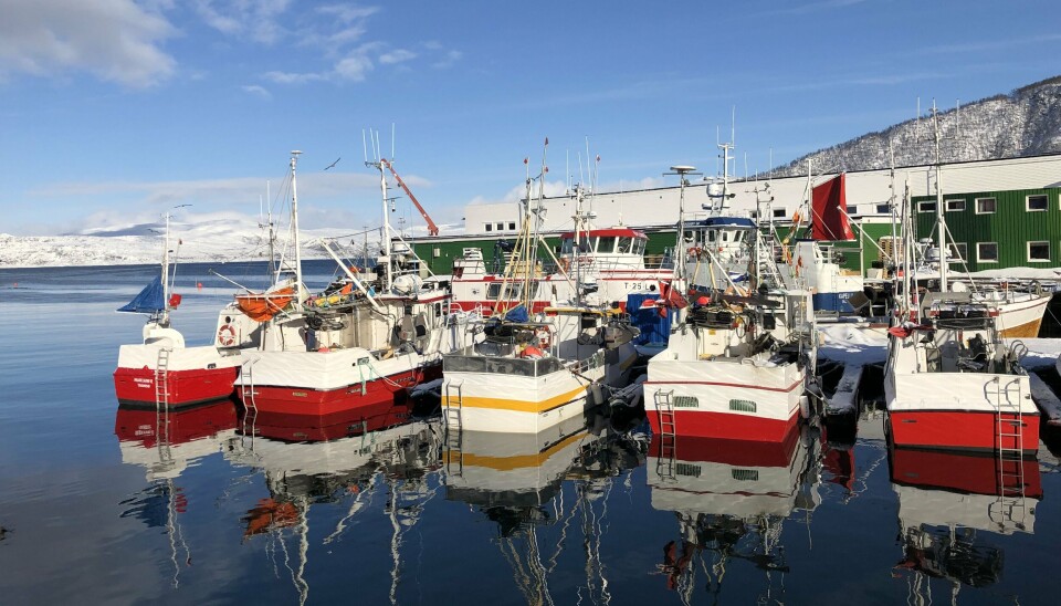 BOTNHAMN: Illustrasjonsfoto fra Botnhamn i Senja.