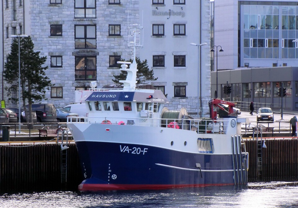 Havsund blir i praksis straffet økonomisk for i perioder å drive et fiske med lavere utslipp enn reketråling. Foto Åge Schjølberg