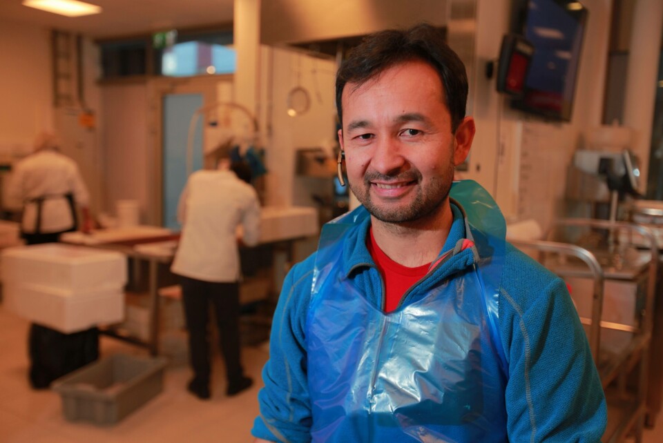 ENESTE: Asif Mohammadi (47) er antageligvis Norges eneste innvandrer som driver egen fiskebutikk. Siden 2017 har han drevet Fiskebua i sentrum av Mo i Rana, en jobb han stortrives med. I fjor utvidet han bedriften med en filial i Mosjøen, åtte mil sør for Mo. Foto: Rune Kr. Ellingsen ENESTE: Asif Mohammadi (47) er antageligvis Norges eneste innvandrer som driver egen fiskebutikk. Siden 2017 har han drevet Fiskebua i sentrum av Mo i Rana, en jobb han stortrives med. I fjor utvidet han bedriften med en filial i Mosjøen, åtte mil sør for Mo. Foto: Rune Kr. Ellingsen