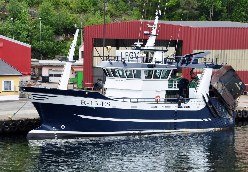 Ingen har større rekekvote enn Caprice. Men det skal godt gjøres å ta gjenværende av kvoten for denne perioden. Foto Frode Adolfsen