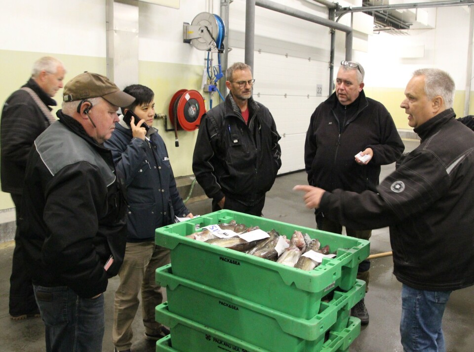 Dette bildet viser fisk som omsettes på Hirtshals Fiskeauksjon. Foto Terje Engø Dette bildet viser fisk som omsettes på Hirtshals Fiskeauksjon. Foto Terje Engø
