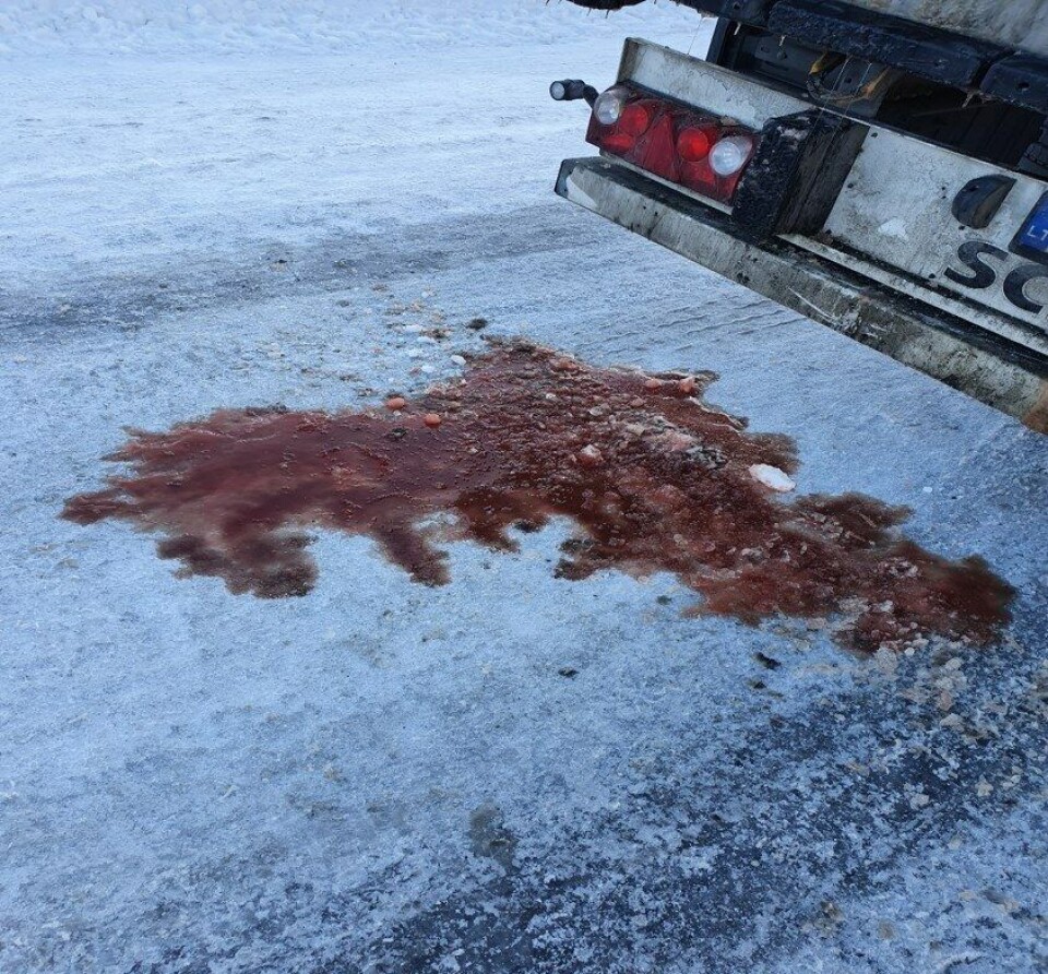 Avrenning fra trailere som frakter fisk er et betydelig problem langs norske veier. Nå tar Statens vegvesen grep. Bilde for illustrasjon. (Foto: Arkiv)