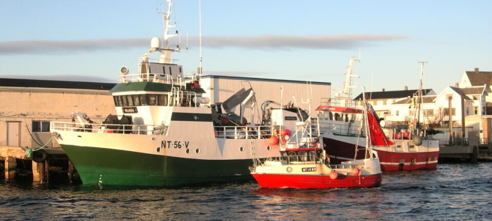 Lofotreguleringene klare: Innfører seks fleksible felleshav mellom Svolvær og Røst