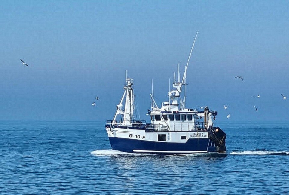 Baluba har de siste årene seilt til Strømstad for å levere fangsten. De har de tjent godt på, sier skipper og reder Hans-Olav Helgesen. Baluba har de siste årene seilt til Strømstad for å levere fangsten. De har de tjent godt på, sier skipper og reder Hans-Olav Helgesen.