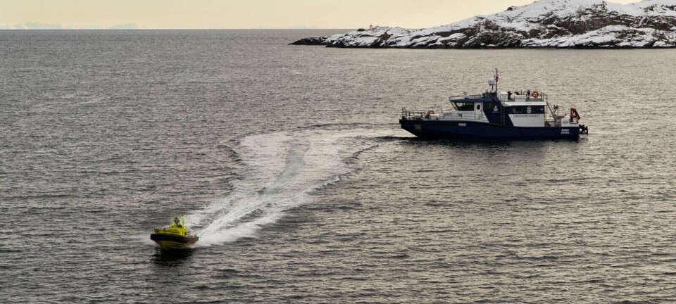 Tøffe bøter for feil ved krabbe- og hummerteiner