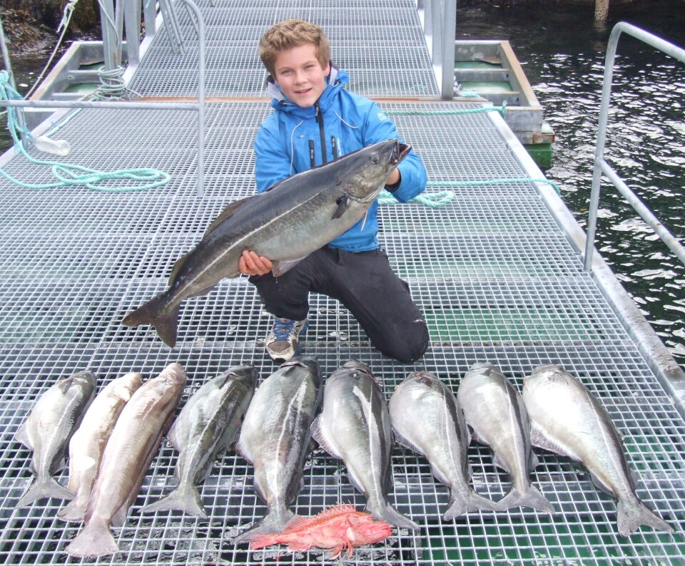 Turister fisket over 1,1 million fisk i fjor. Foto Terje Engø