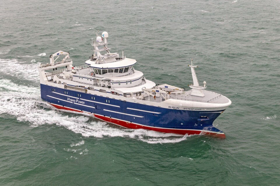 Video: Lizbeth Osnes