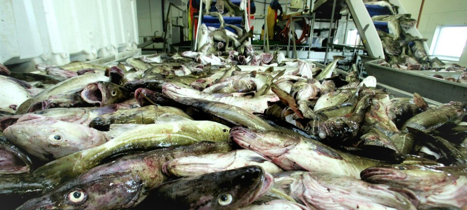 Papirløs fisk kan få digital pris