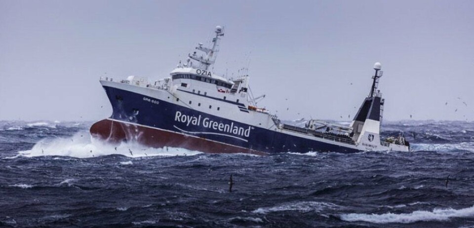 TARIFF: Tråleren «Sisimiut» er en av deltagerne i snøkrabbefisket. Bilde for illustrasjon.