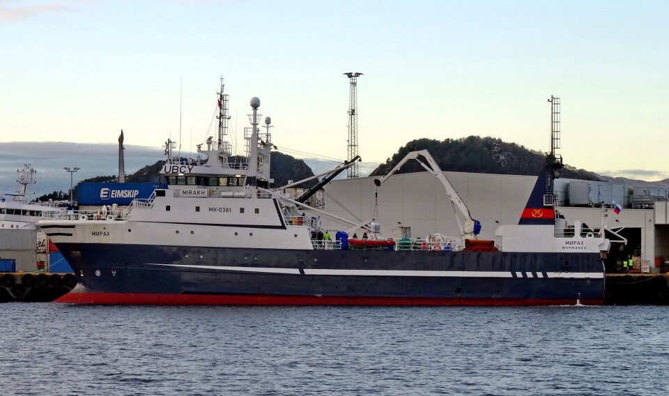 Tråleren Mirakh har levert over 3000 tonn, mest torsk, i norsk havn i år. Her losser fartøyet i Ålesund. Foto Åge Schjølberg