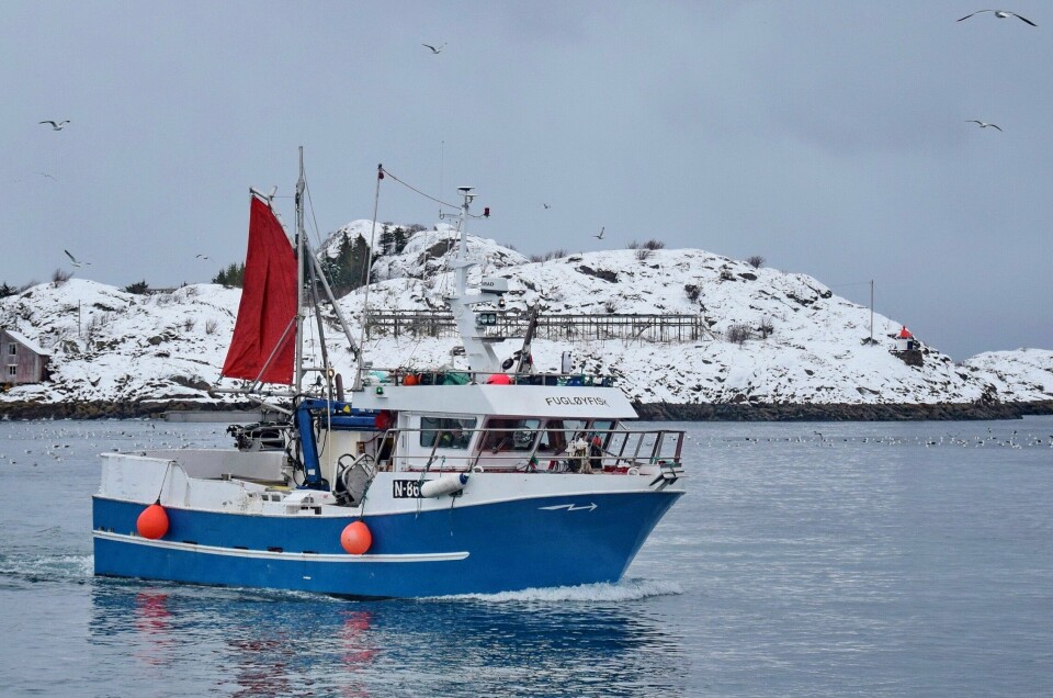 KLAGET: Skipper slapp bot på 12 000 etter hjelp fra Norges Fiskarlag til å klage på direktoratets vedtak. (Foto Frode Adolfsen)