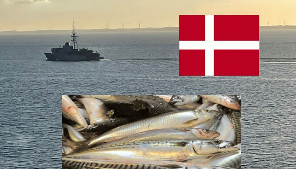STRAMMER INN: – Forbudet vil ikke medføre en endring for fiskere utenom Skagerrak, opplyser Fiskeridirektoratet i pressemeldingen.