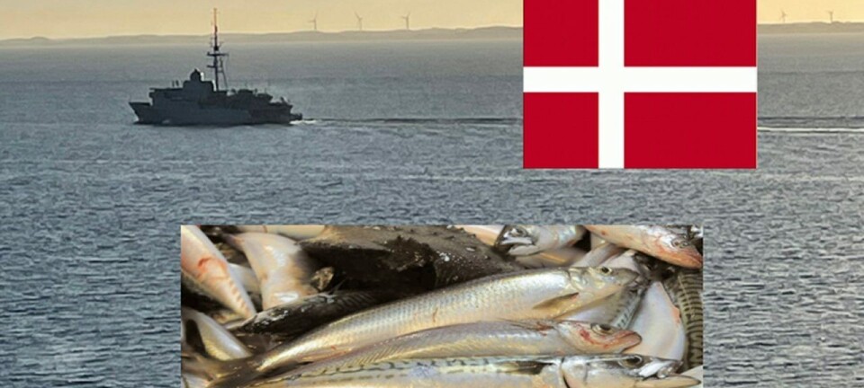 Seks norske fiskere bøtelagt i Danmark - engasjerte advokat og sparte 700.000