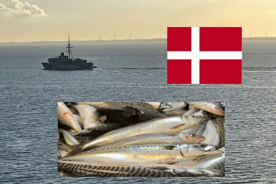 SPARTE STORE SUMMER: De seks ble bøtelagt for feilanslag av fangstvolum. Nå er alle sakene løst. (Foto/illustrasjon: Jan-Erik Indrestrand) SPARTE STORE SUMMER: De seks ble bøtelagt for feilanslag av fangstvolum. Nå er alle sakene løst. (Foto/illustrasjon: Jan-Erik Indrestrand)