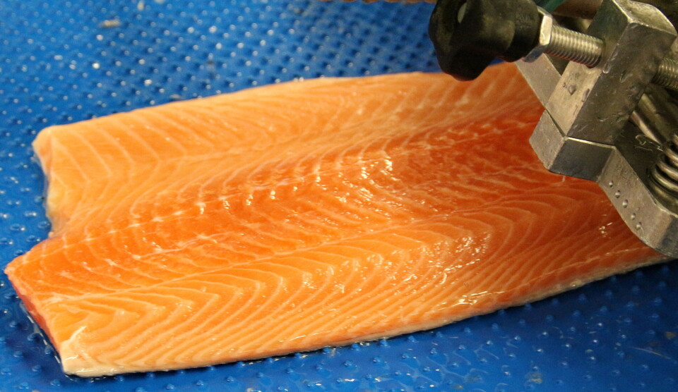 Der er stor produksjon av laksefilet ved flere virksomheter i Hirtshals. En av disse, Seawell, får besøk av de to fiskeriministrene. Foto Terje Engø Der er stor produksjon av laksefilet ved flere virksomheter i Hirtshals. En av disse, Seawell, får besøk av de to fiskeriministrene. Foto Terje Engø