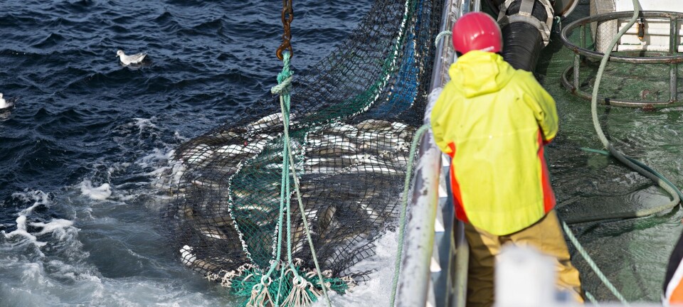 Ønsker et mer skånsomt og effektivt snurrevadgir