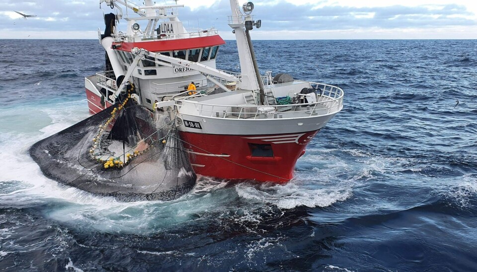BLIR MAT: – Jeg vil argumentere for at det er strategisk viktig å legge vekt på at en del av fiskemelet- og oljen blir brukt til kosttilskudd til mennesker, skriver Monica Langeland i denne kronikken. Bilde for illustrasjon.