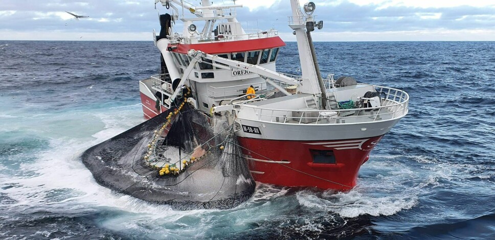 NEDGANG: Årets maifiske etter Nordsjøsilda er allerede rekord, skriver Sildesalgslaget på sine nettsider. Bilde for illustrasjon.